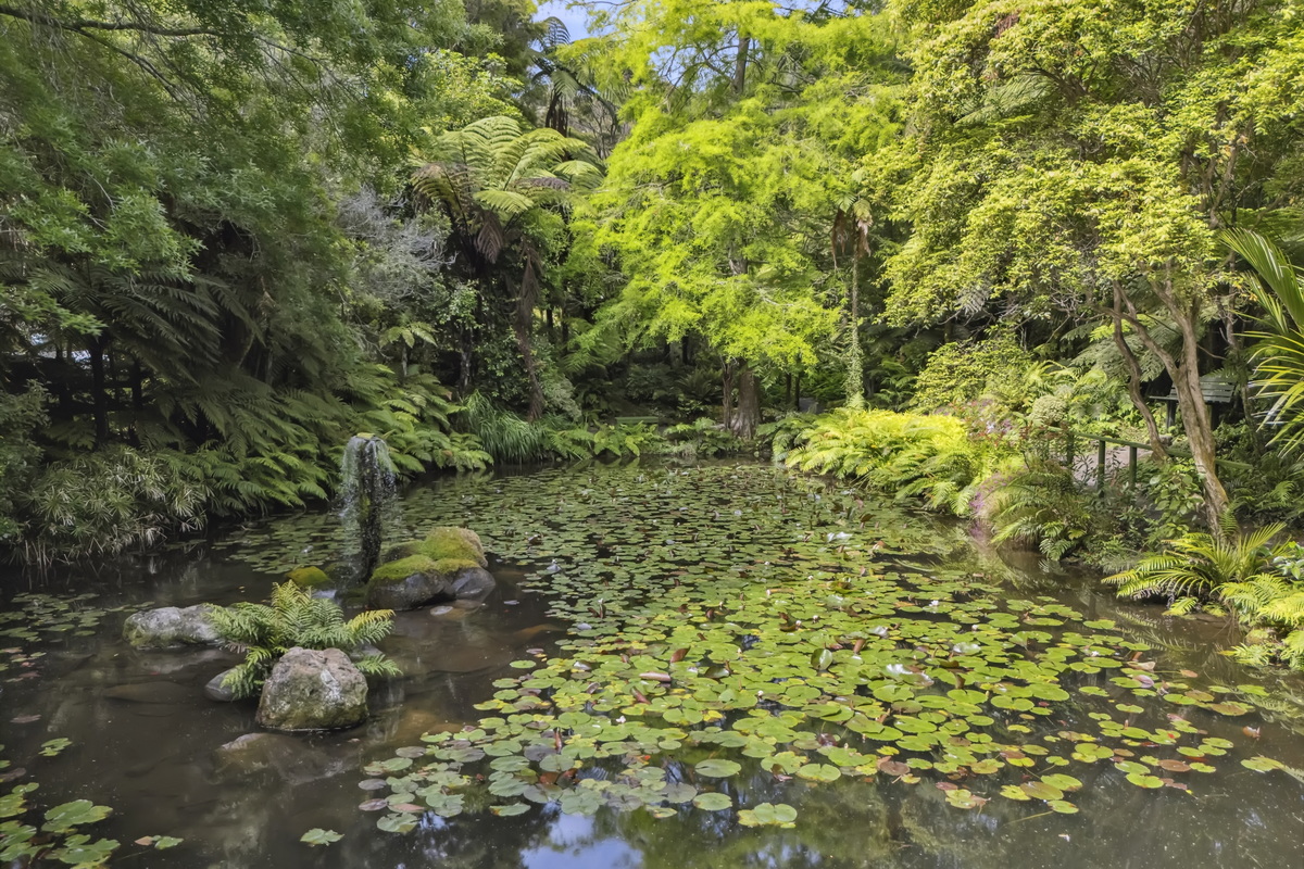 Rapaura Watergarden Thames NZ